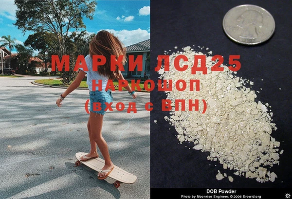 спайс Алзамай