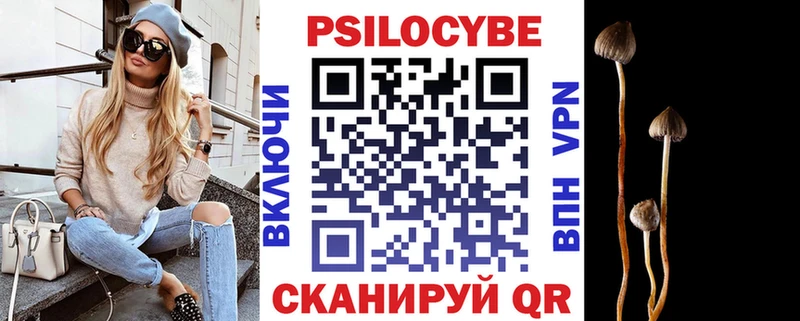 Галлюциногенные грибы Cubensis где можно купить Стародуб