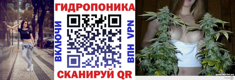 дарнет шоп  Стародуб  Шишки марихуана Ganja 